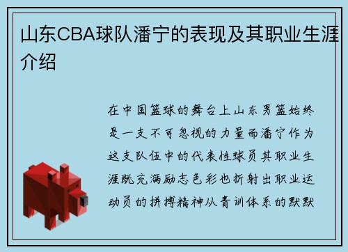 山东CBA球队潘宁的表现及其职业生涯介绍