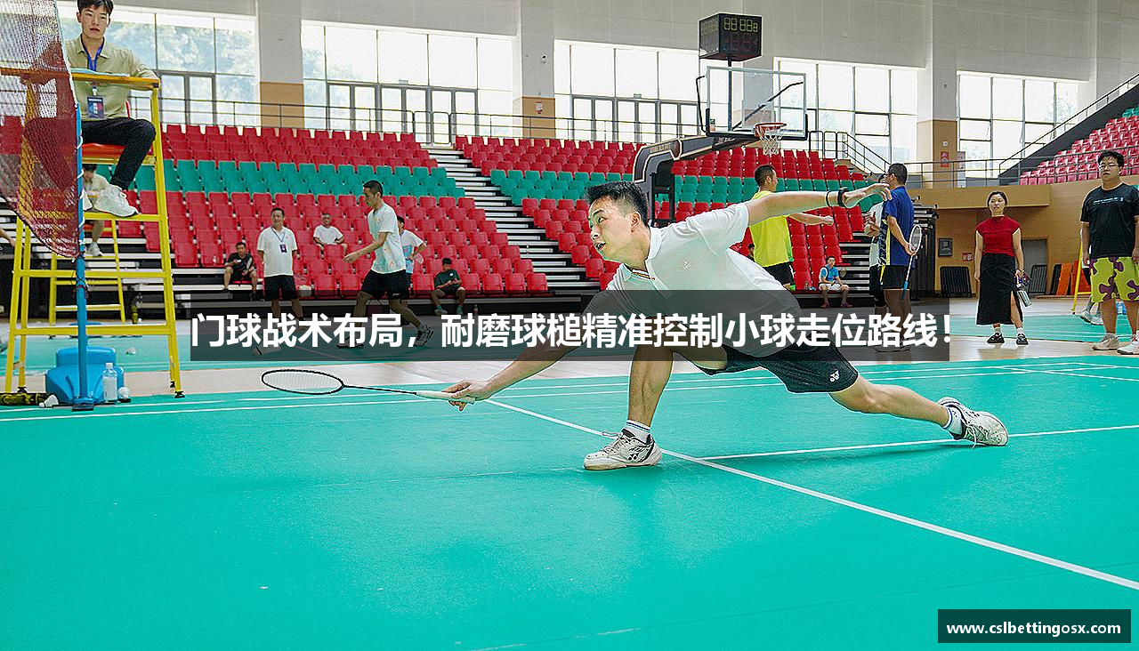 门球战术布局，耐磨球槌精准控制小球走位路线！